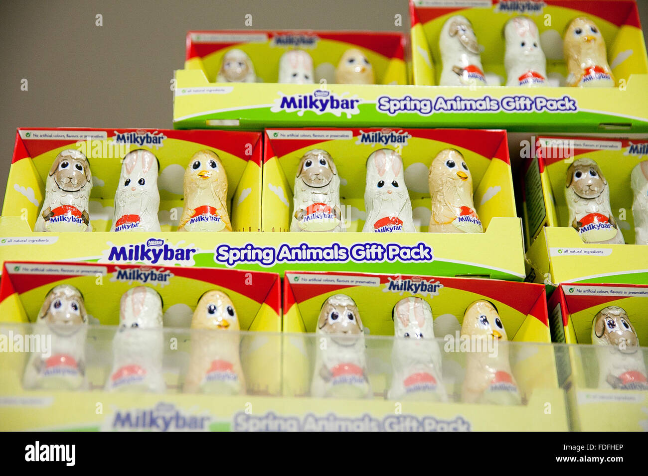 Milky bar Spring Animal Easter Eggs on sale in Poundland as they are