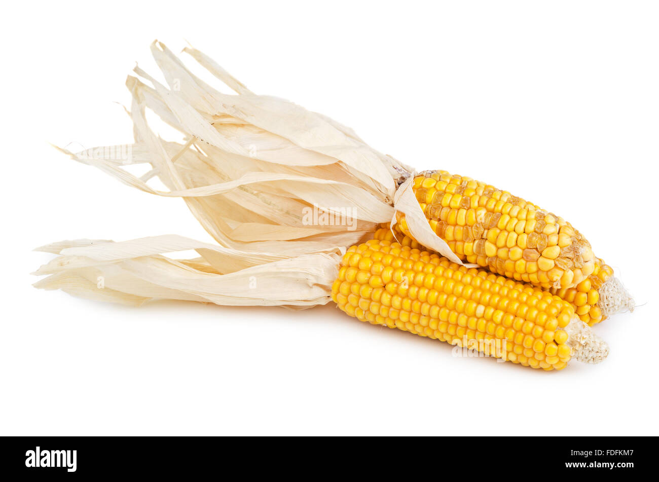 Stack of dried cob corn isolated on white background Stock Photo - Alamy