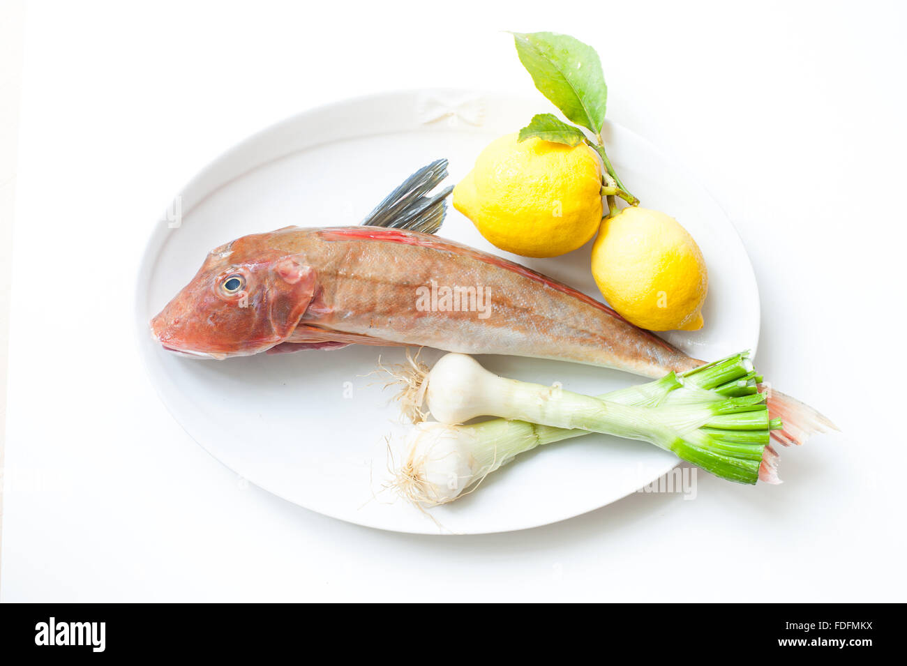 Tub gurnard raw fish on  white plate with lemon and onion Stock Photo