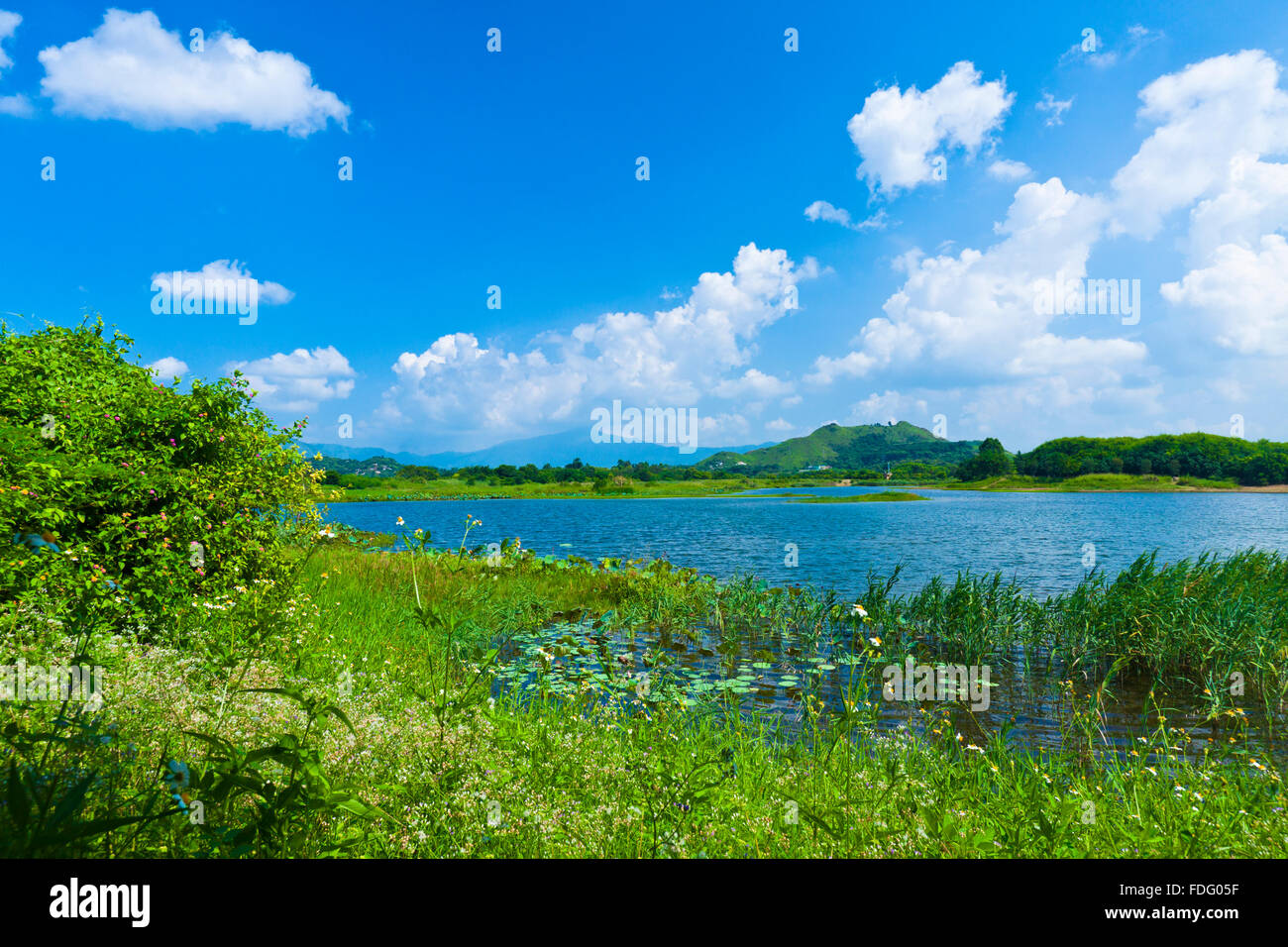 Wetland lake landscape Stock Photo