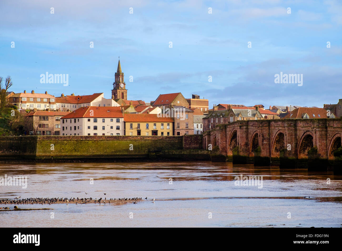 Looking across River Tweed to Berwick-upon-Tweed town waterfront by old arched bridge from Tweedmouth Northumberland England UK Stock Photo