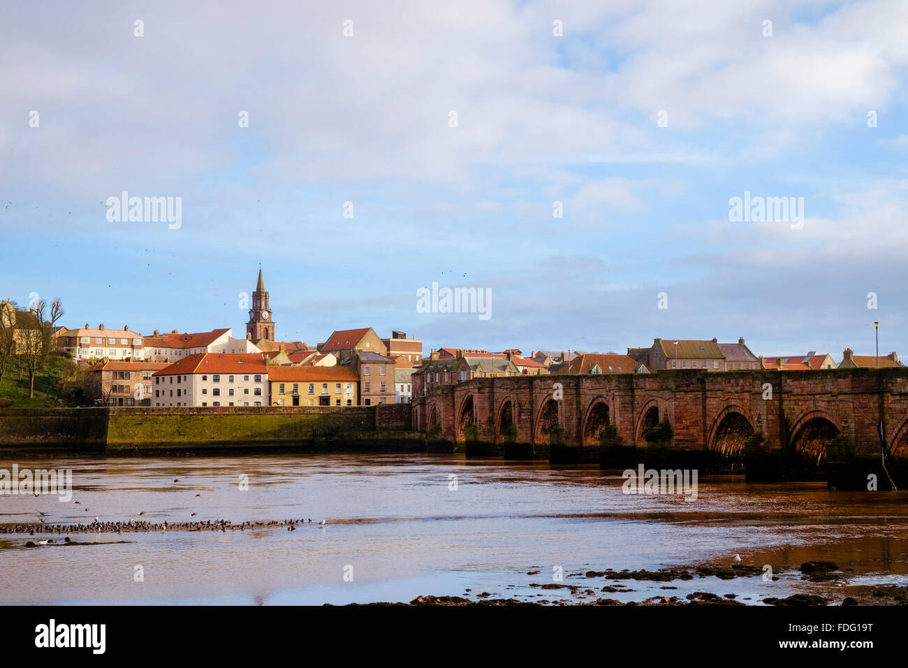 Looking across River Tweed to Berwick-upon-Tweed border town waterfront by old arched bridge from Tweedmouth Northumberland England UK Britain Stock Photo
