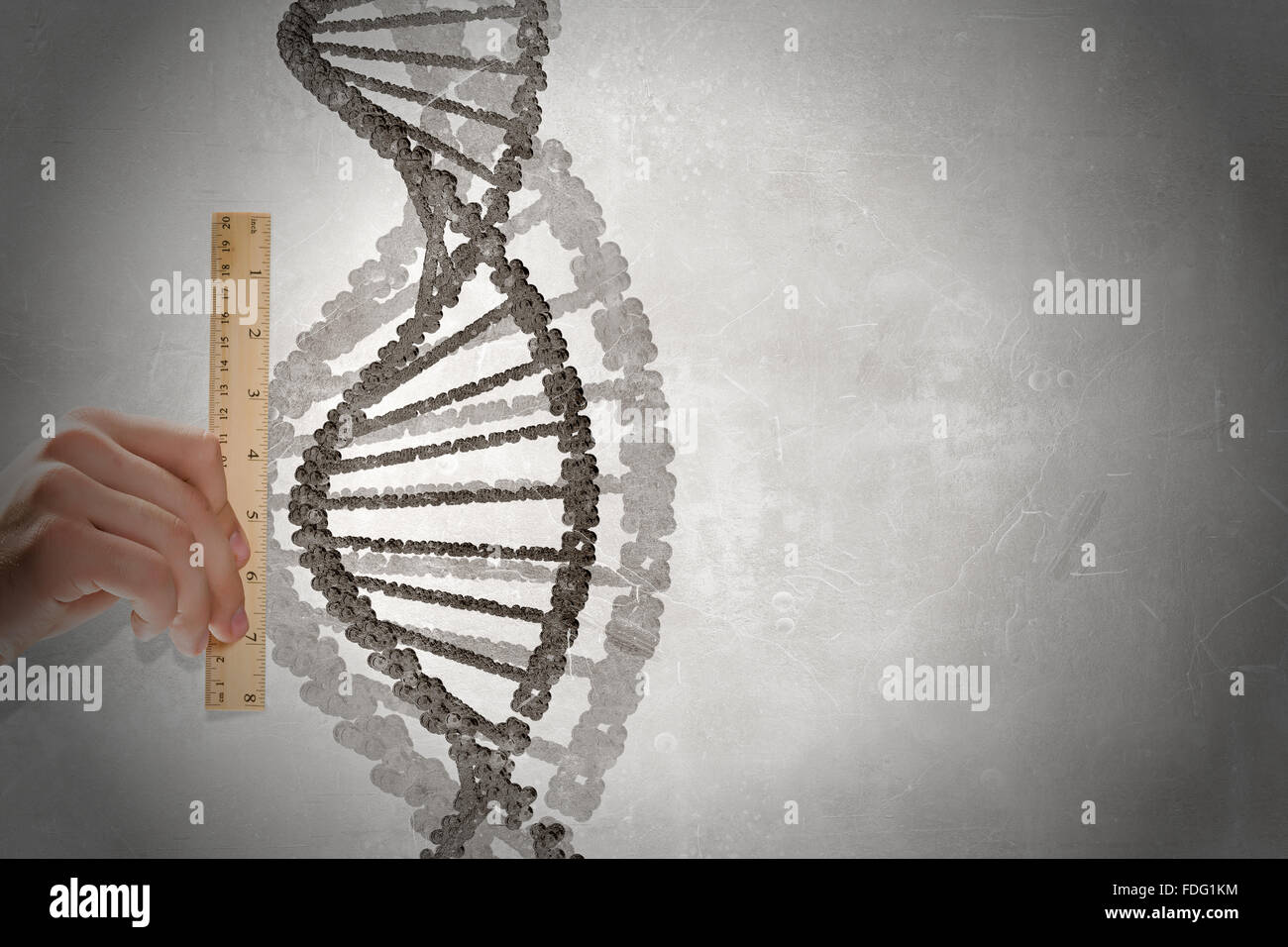 Close up of male hand measuring DNA molecule with ruler Stock Photo - Alamy