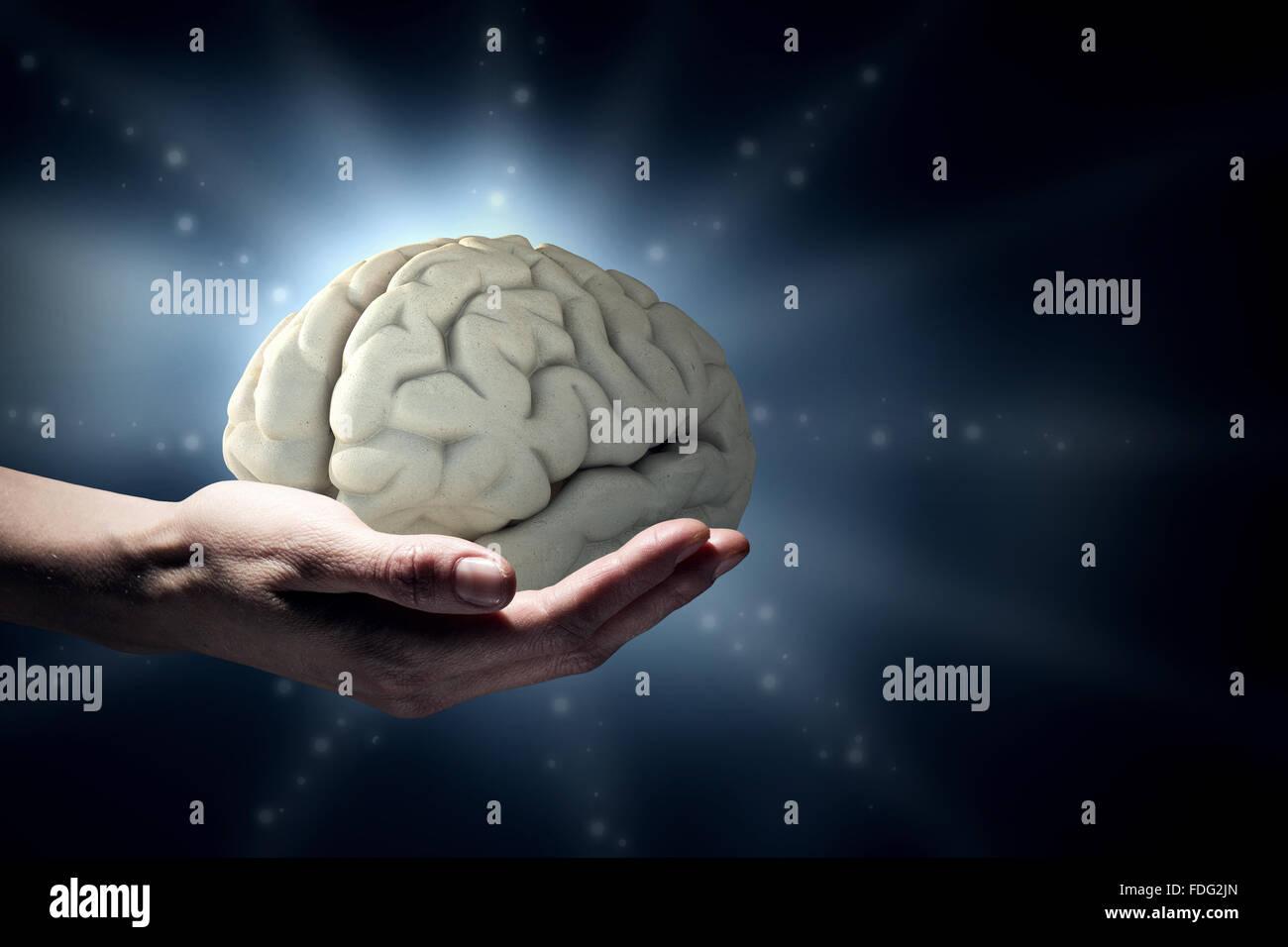 Close up of human hand holding brain Stock Photo - Alamy