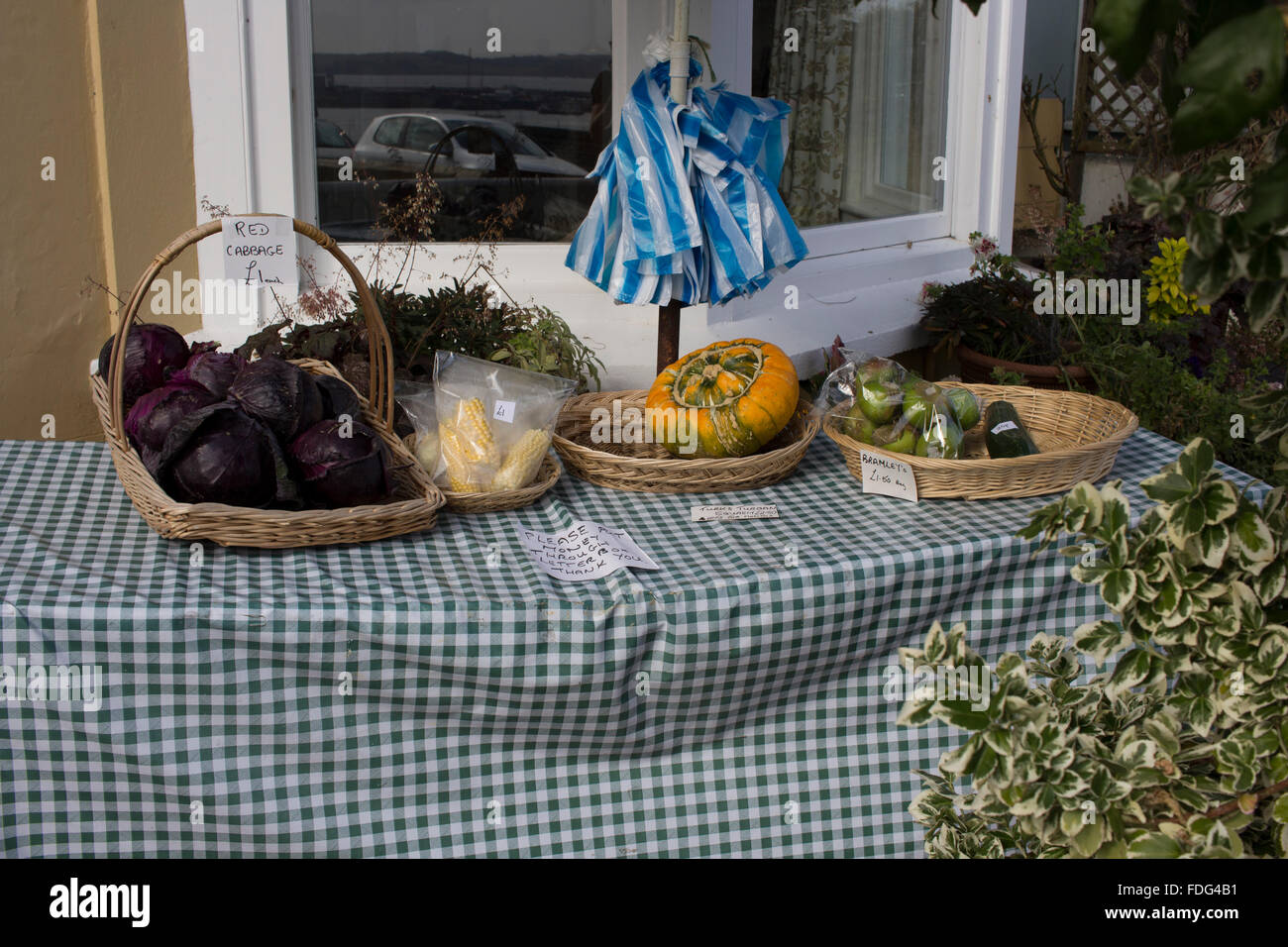 Fruit and veg stall in a private garden where purchases are made via an honesty box system Stock Photo