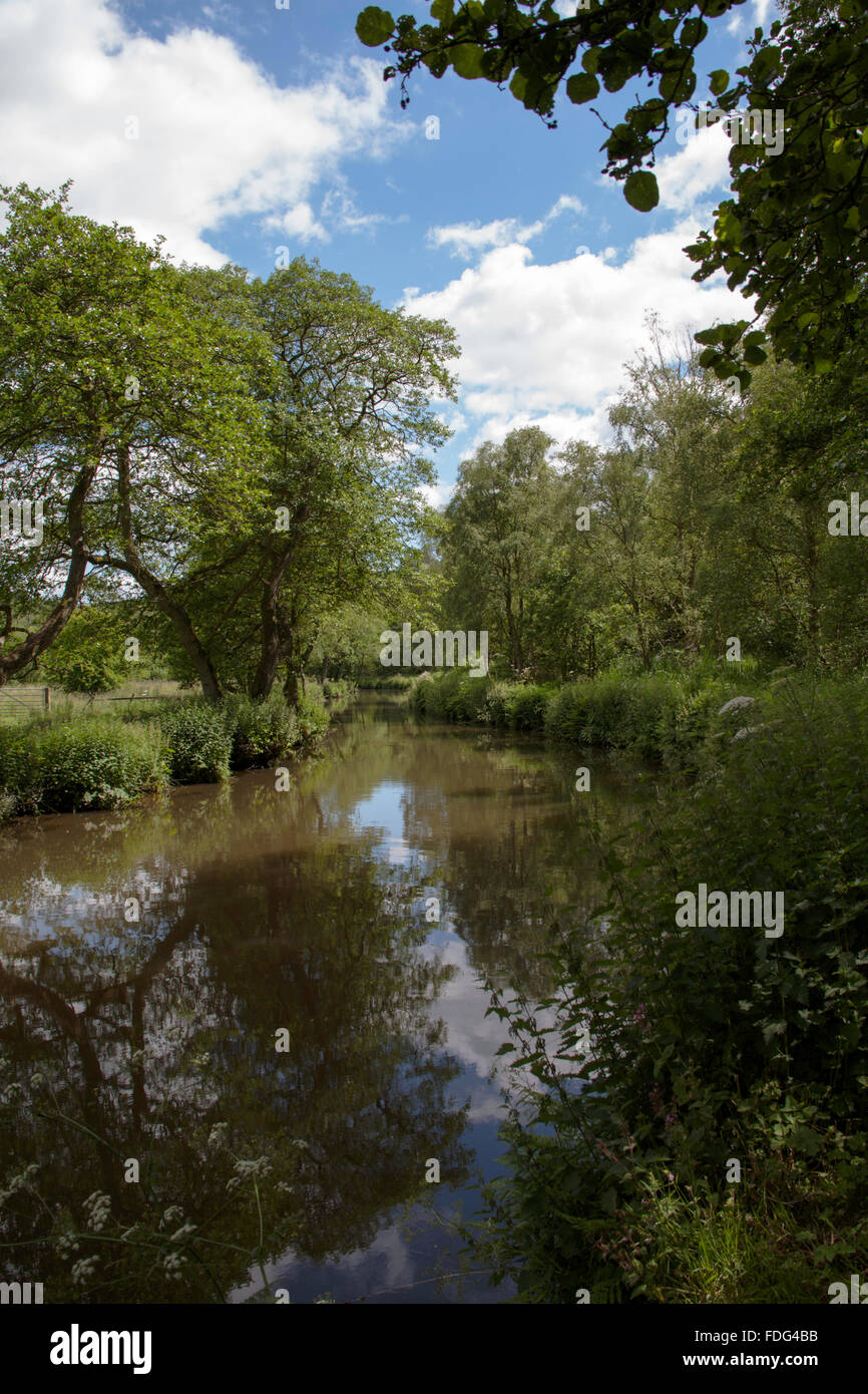 The River Churnet part of The Caldon Navigation between Cheddleton and ...