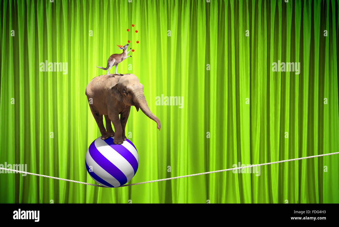 Circus animals standing in stack and balancing on rope Stock Photo Alamy