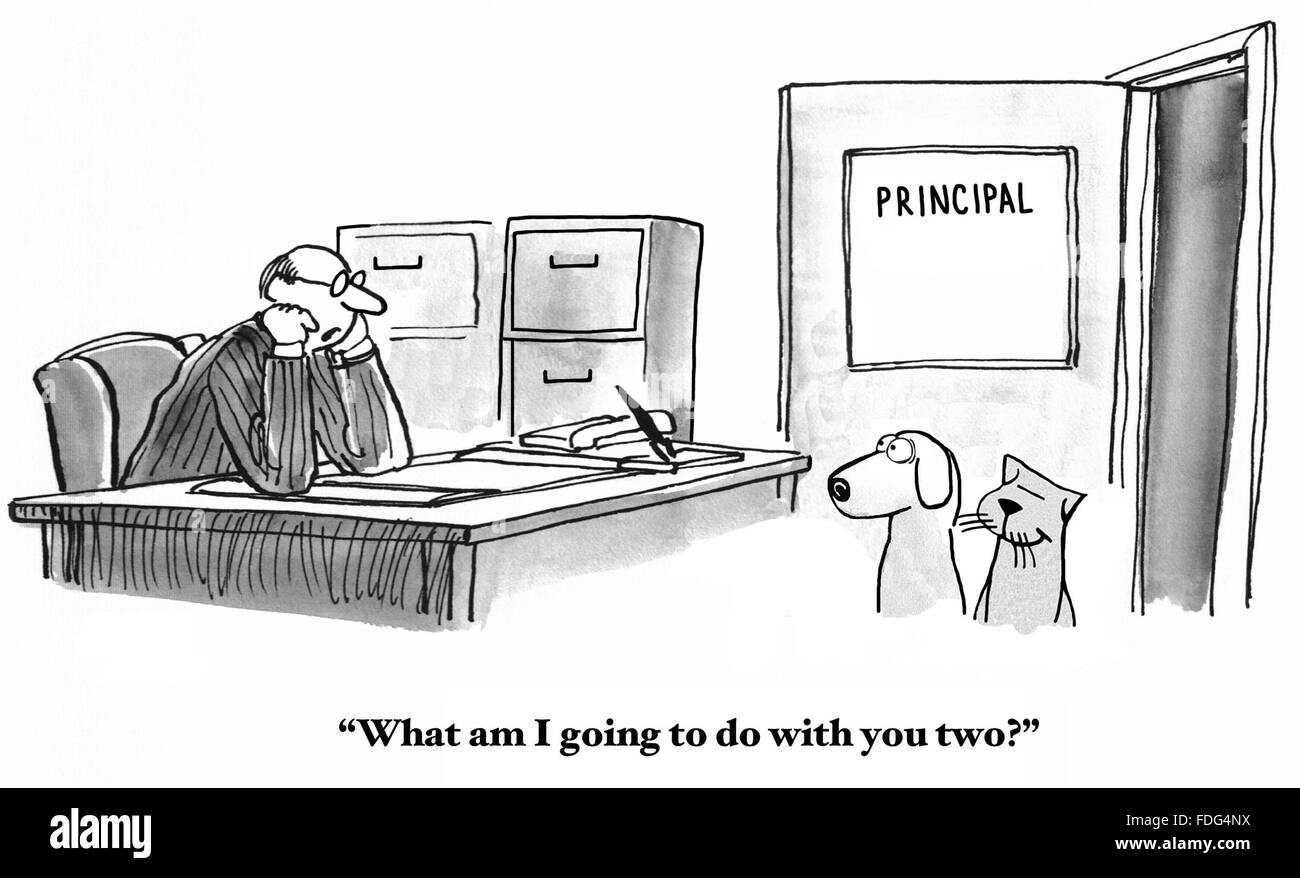 Education cartoon.  The principal is baffled, student dog and cat are repeatedly sent to the principal's office due to fighting. Stock Photo