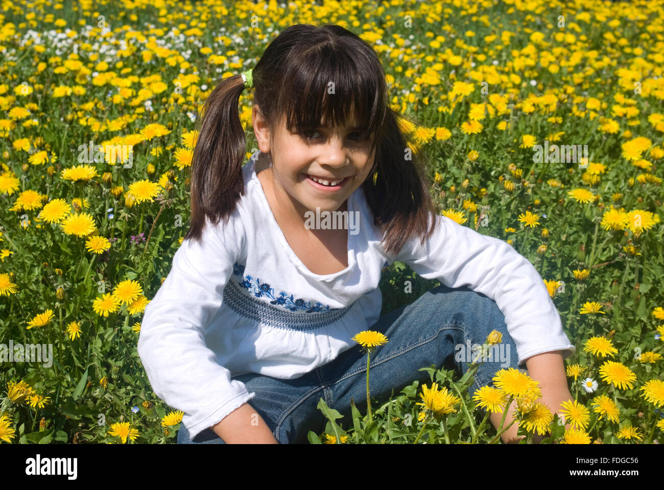 Girl sitting in field of dandelions Stock Photo - Alamy