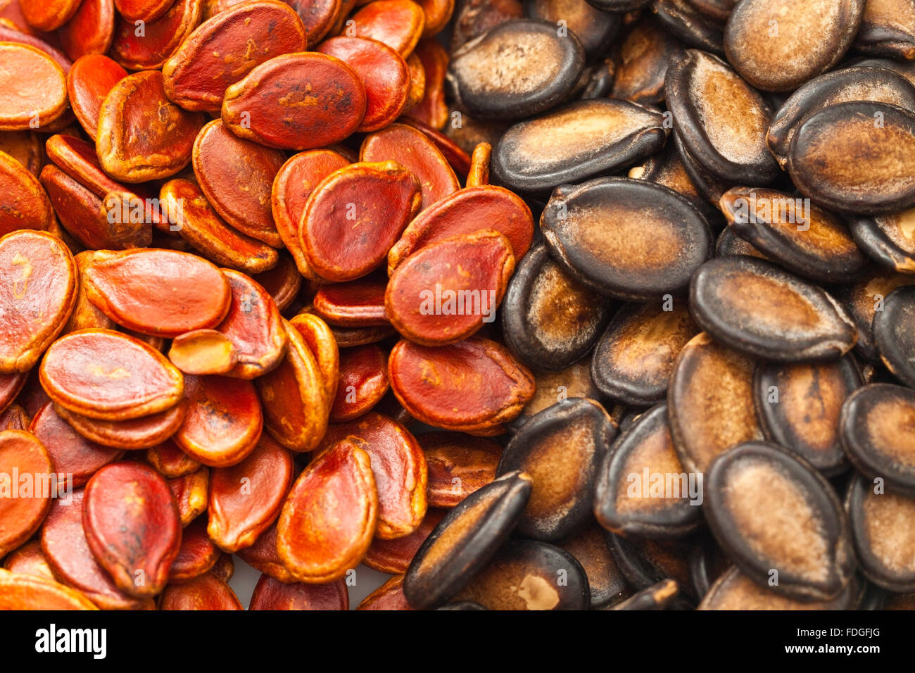 Black and red melon seeds for Chinese New Year Stock Photo - Alamy