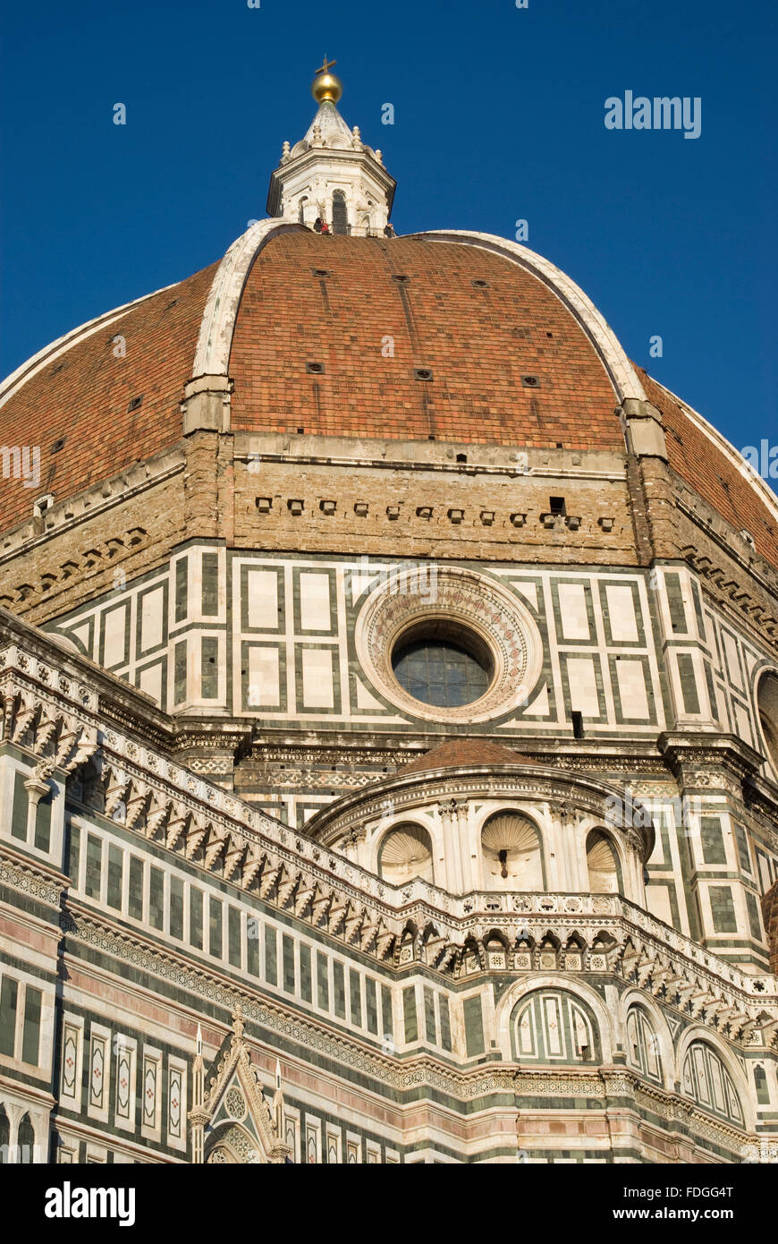 The dome of Brunelleschi, Florence Cathedral Stock Photo - Alamy