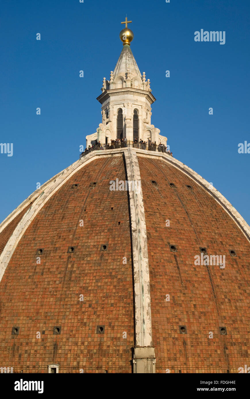 Detail view of the Dome Brunelleschi, Florence, Italy Stock Photo Alamy