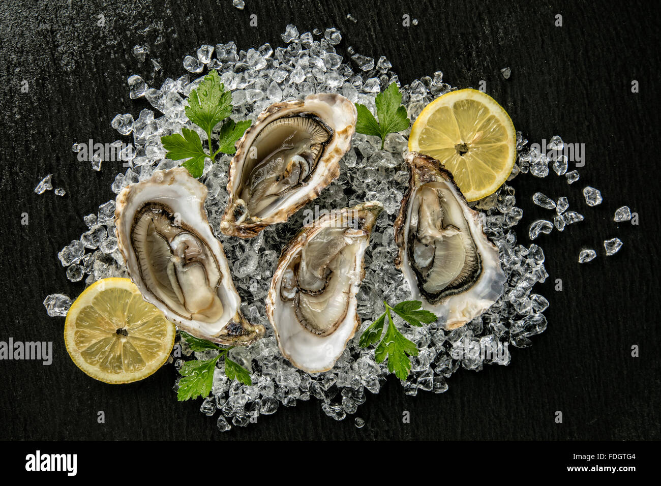 Oysters served on stone plate with ice drift Stock Photo