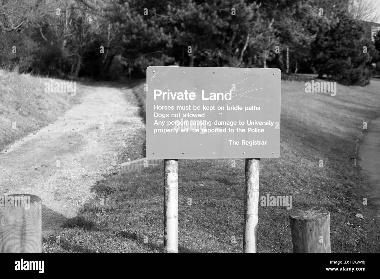 Private land sign, horses kept to bridle paths, Dogs not allowed  January 2016 Stock Photo