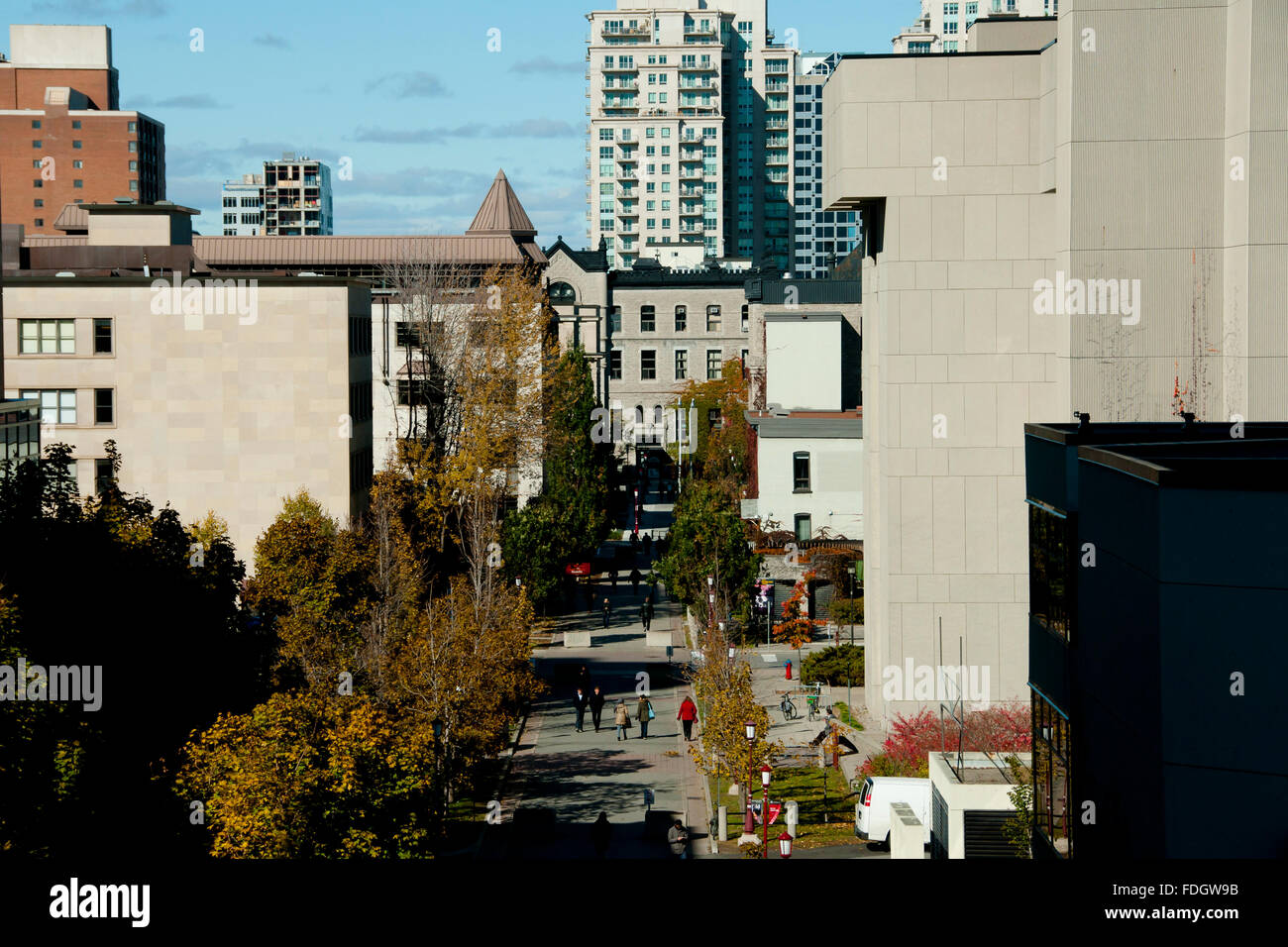 University private street at university of ottawa canada stock photo