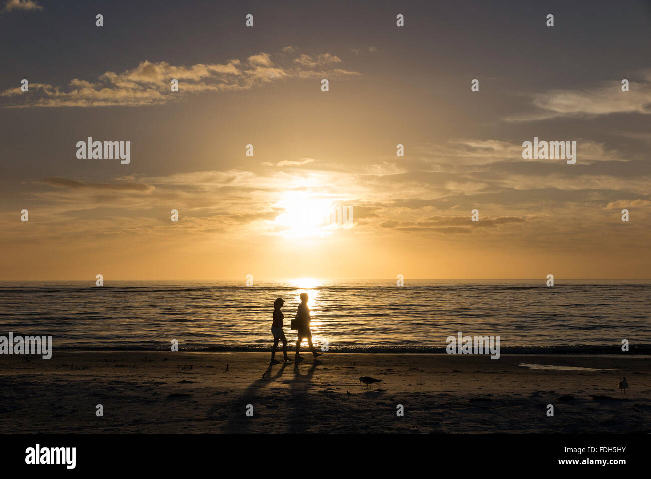Silhouette of two women walking along the beach Stock Photo - Alamy