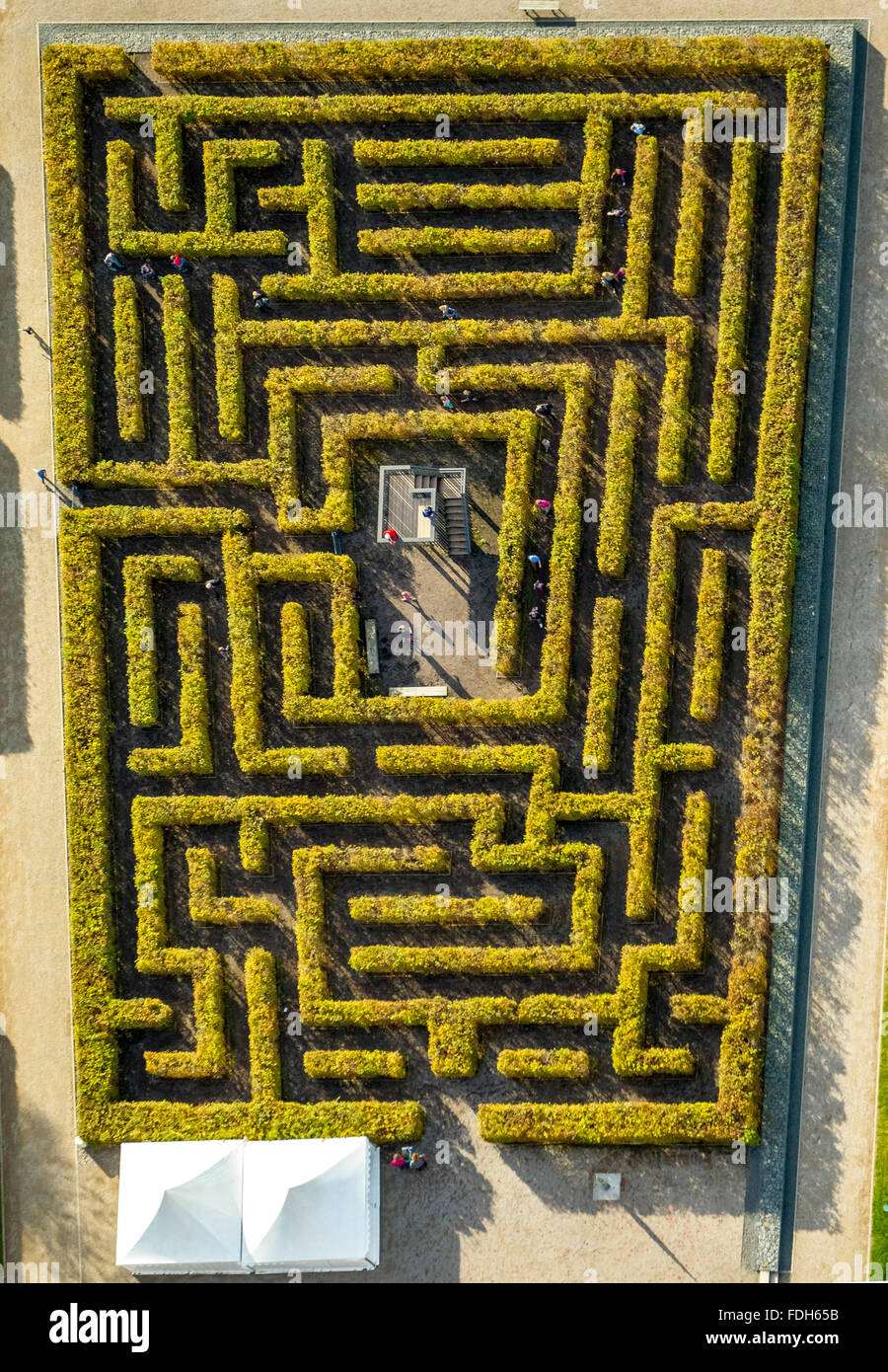 Hedge maze labyrinth germany hires stock photography and images Alamy
