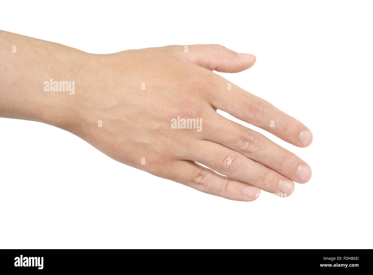 Empty open man hand on white background Stock Photo
