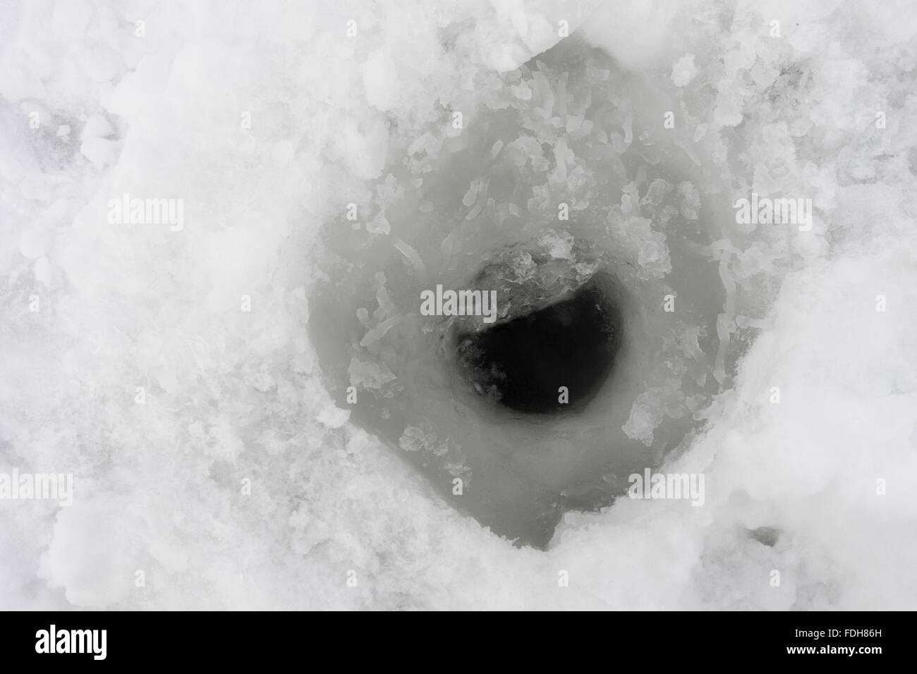 Ice hole ready hor ice fishing on frozen lake, sunrise light Stock Photo -  Alamy
