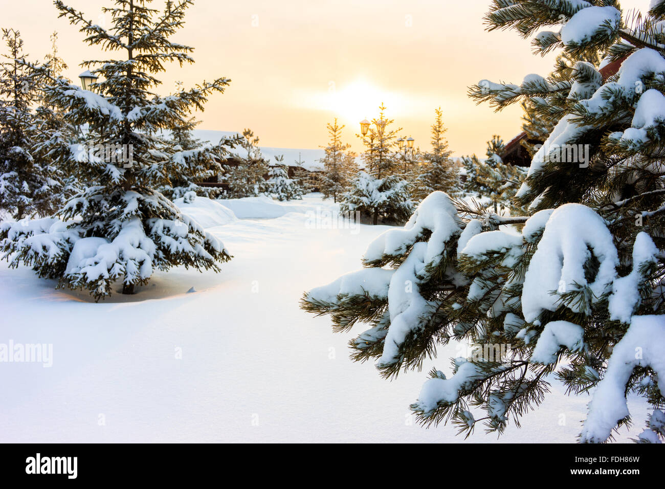 Winter night landscape, small house among Stock Photo