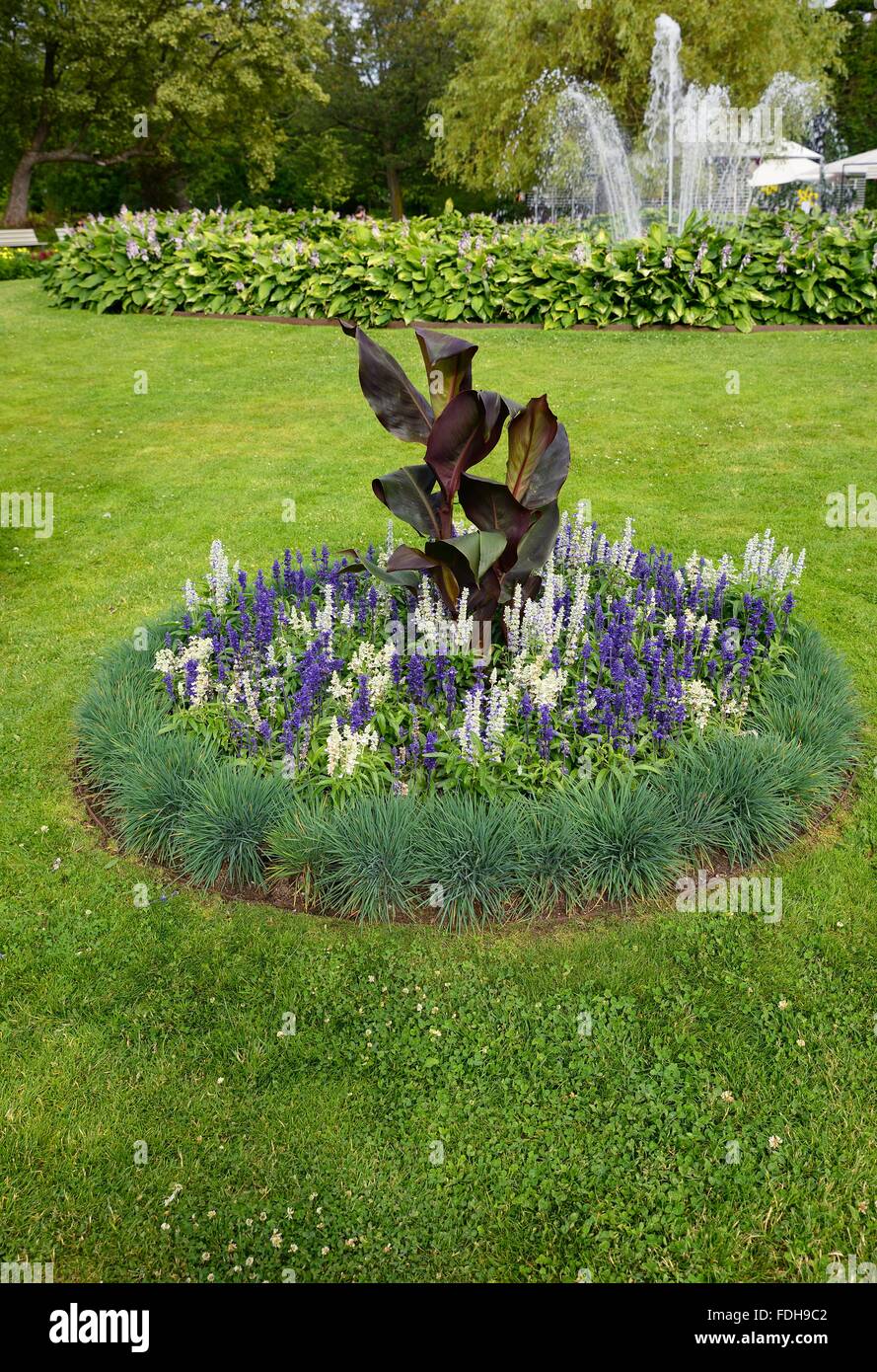 Flowerbed in park Stock Photo