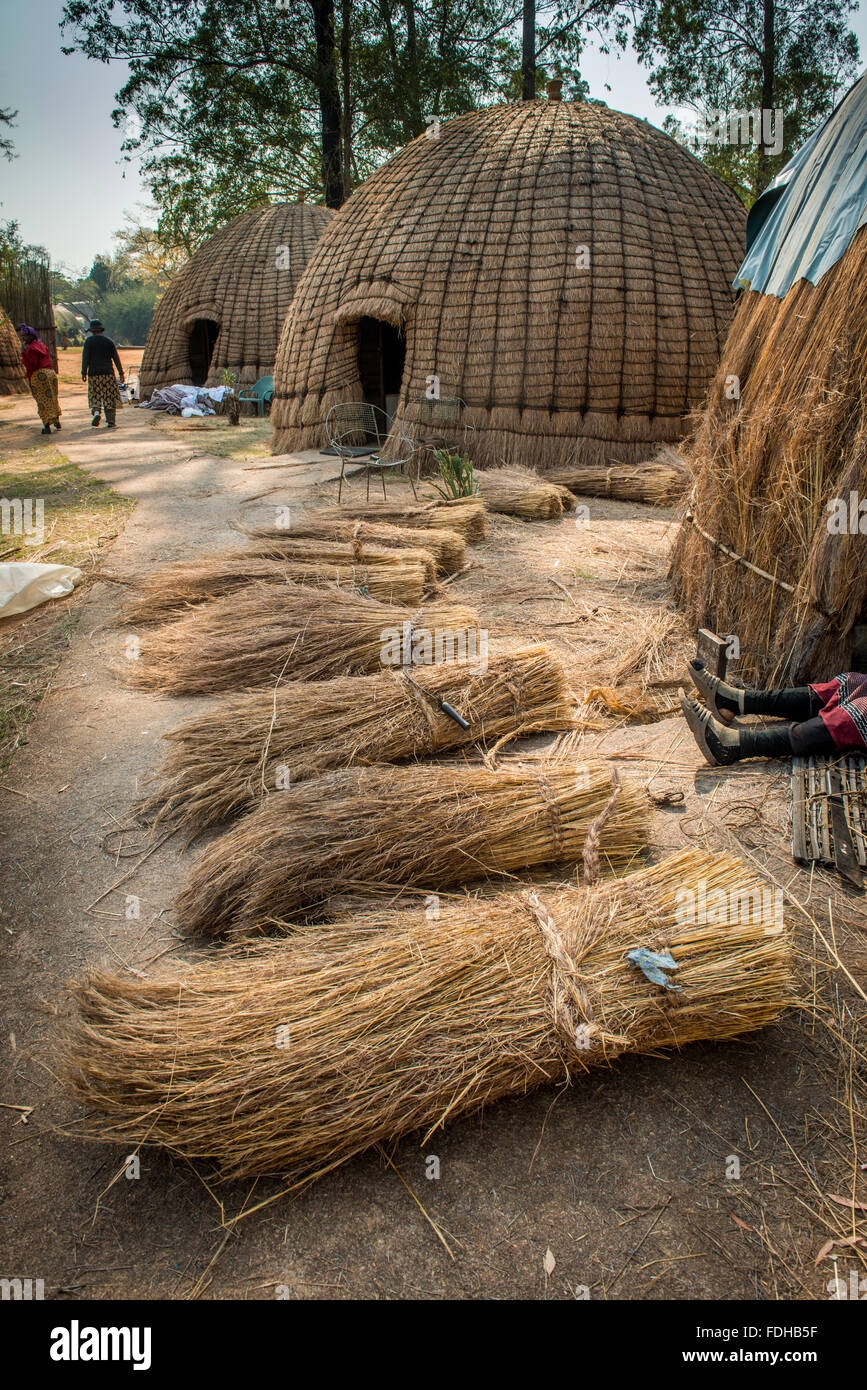 The Process of building beehive huts at the Mlilwane Wildlife Sanctuary in Swaziland, Africa. Stock Photo