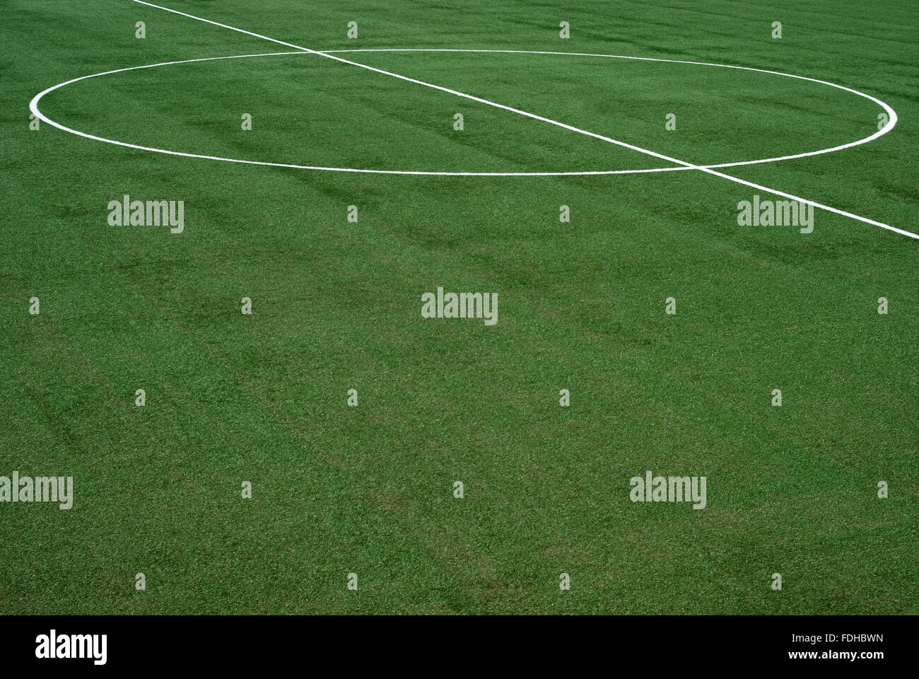 The lines on soccer field Stock Photo Alamy
