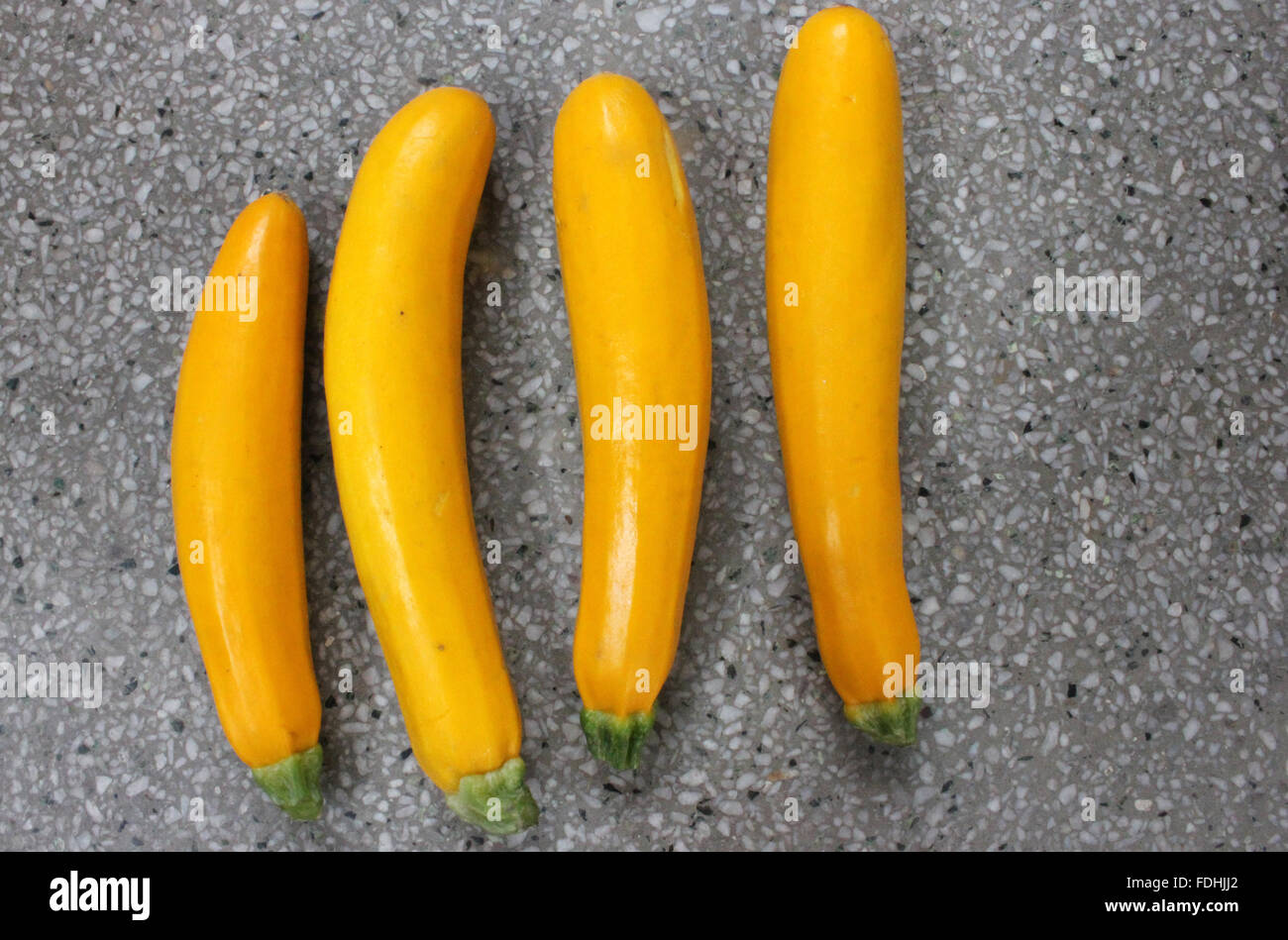 Cucurbita pepo, Yellow zucchini, summer squash cultivar, golden yellow cylindrical fruit, pale