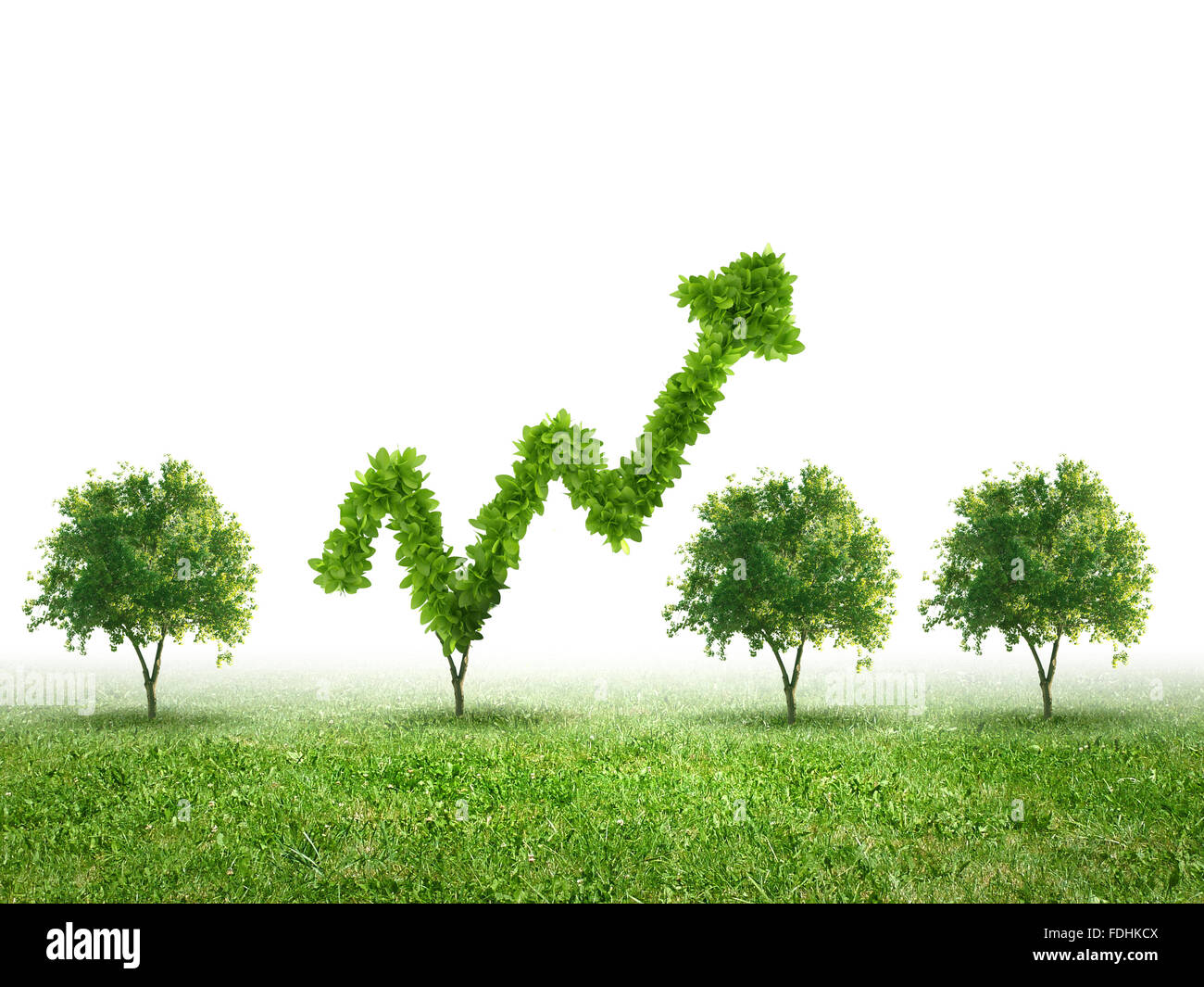 Дерево чемпион сибири по скорости роста. Скорость роста бамбука. Слова среди деревьев. Бамбук растет за сутки. Кто чемпион по скорости роста среди деревьев.