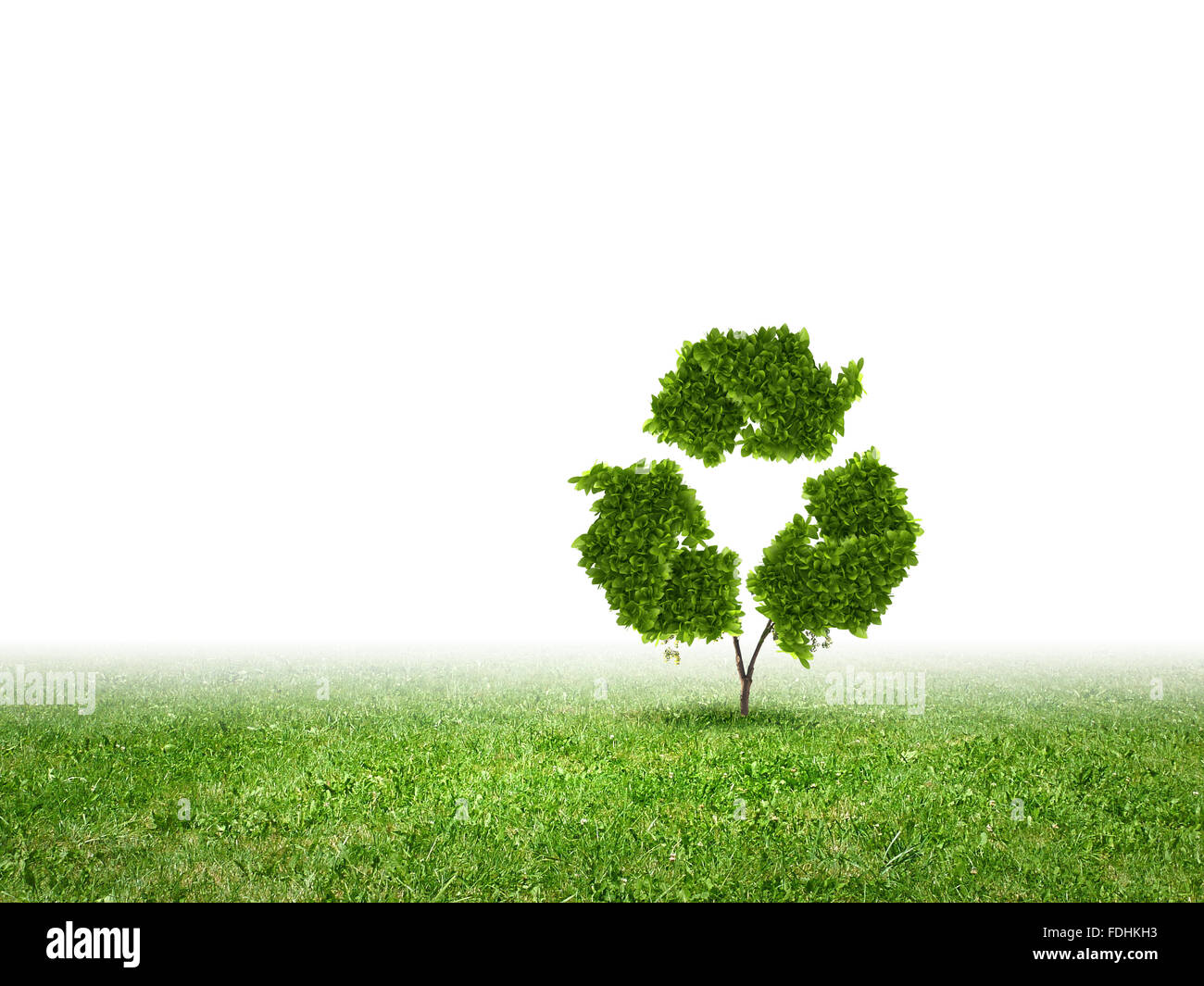 Conceptual image of green plant shaped like recycle symbol Stock Photo ...