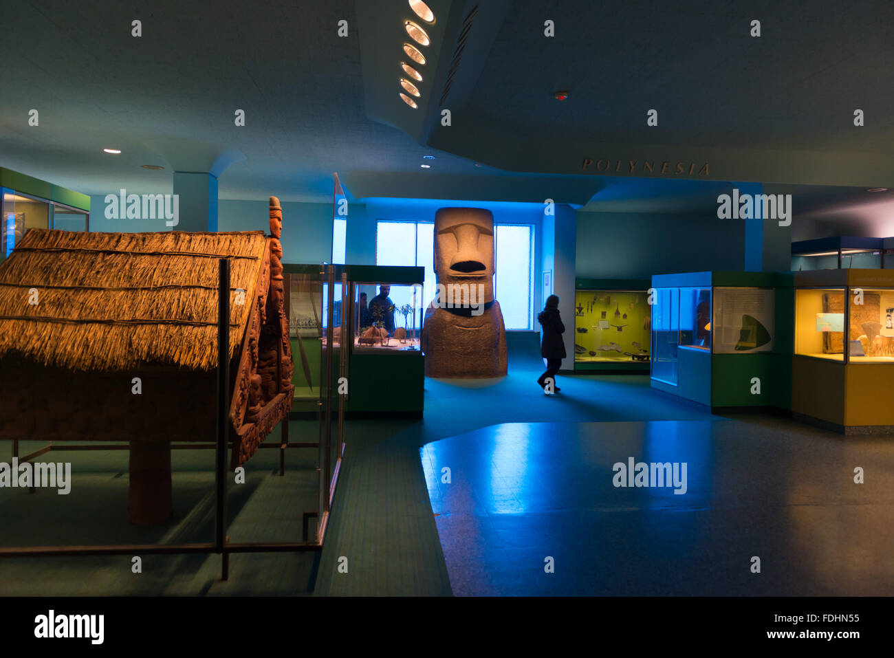 Margaret Mead Hall of Pacific Peoples at the American Museum of Natural