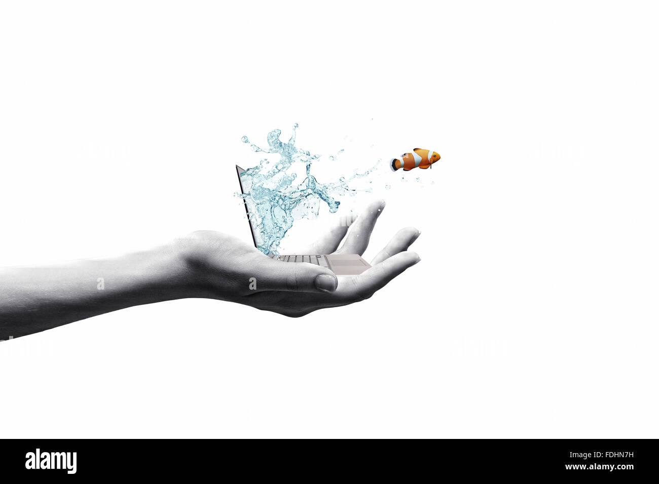 Close up of laptop with fish jumping out from screen Stock Photo - Alamy
