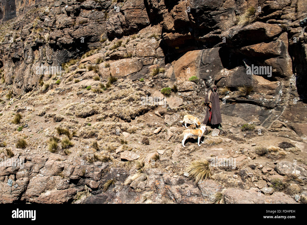 Local shepherd and his dogs standing on rocky terrain in Lesotho, Africa Stock Photo