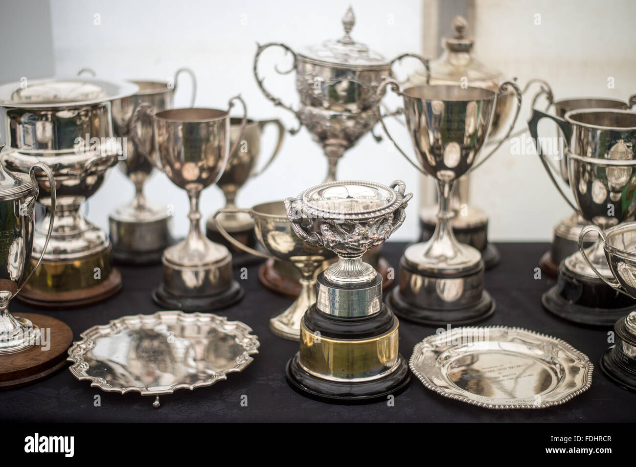 Silver Trophies at the International Sheepdog Trials in Moffat , Scotland, UK. Stock Photo