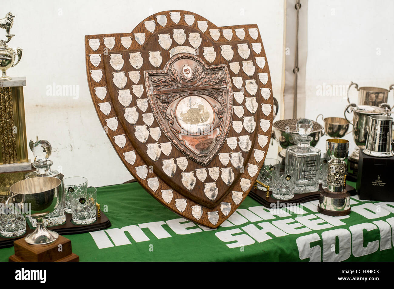 Silver Trophies at the International Sheepdog Trials in Moffat , Scotland, UK. Stock Photo
