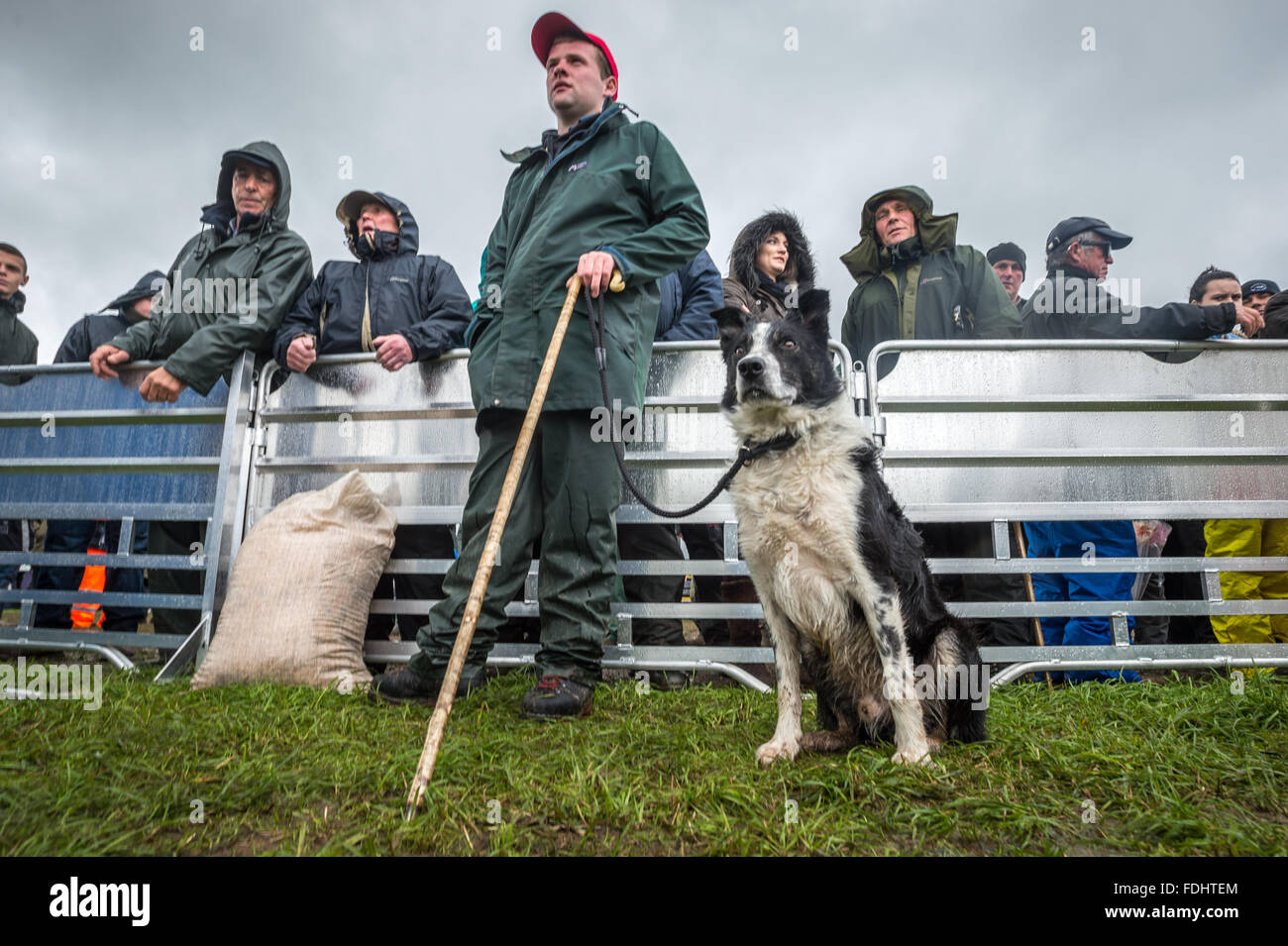 Border Collie and spectators watching the International Sheep Dog