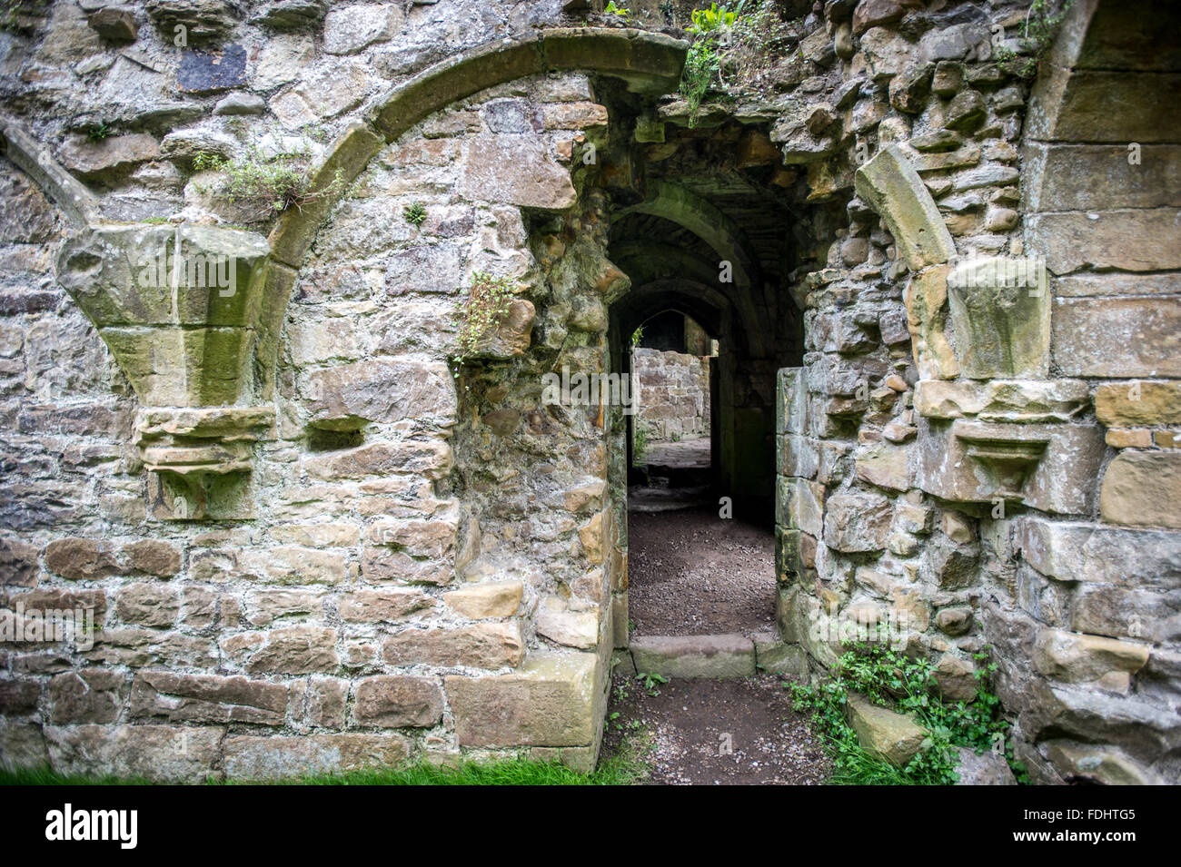Easby Abbey in Yorkshire England, UK Stock Photo