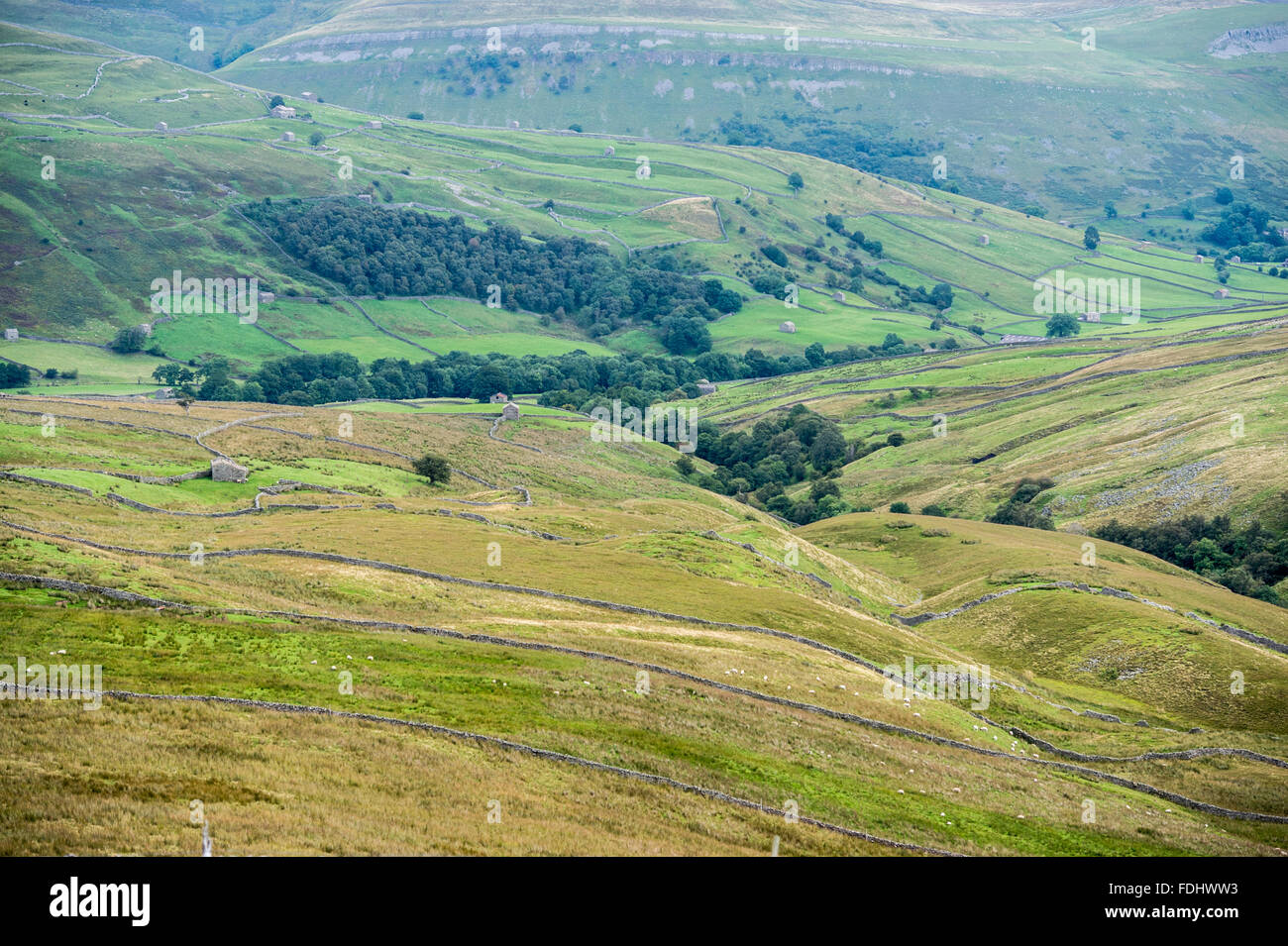 Rolling hills in Yorkshire, England, UK Stock Photo