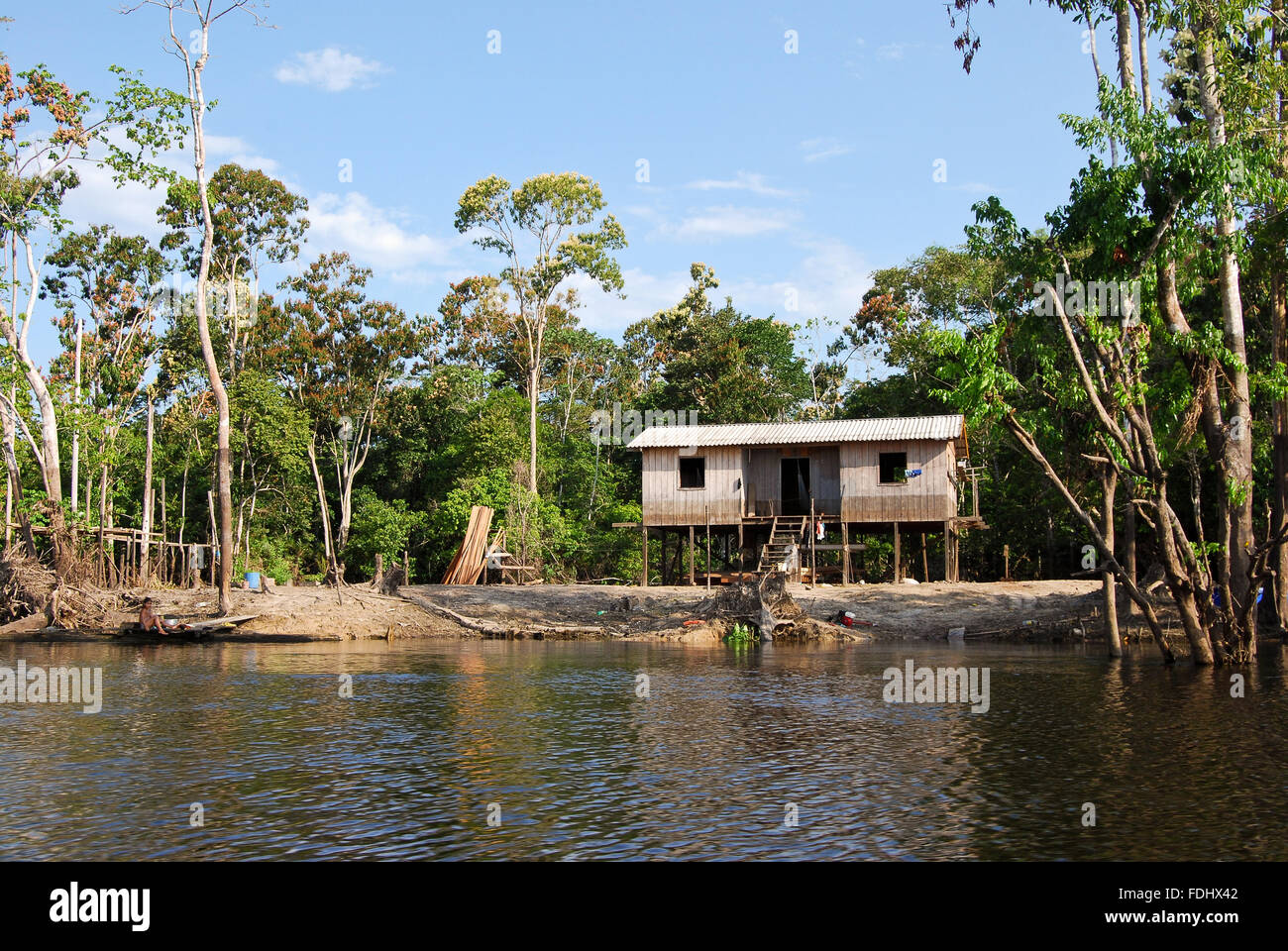 Amazon rainforest: Landscape along the shore of Amazon River near ...