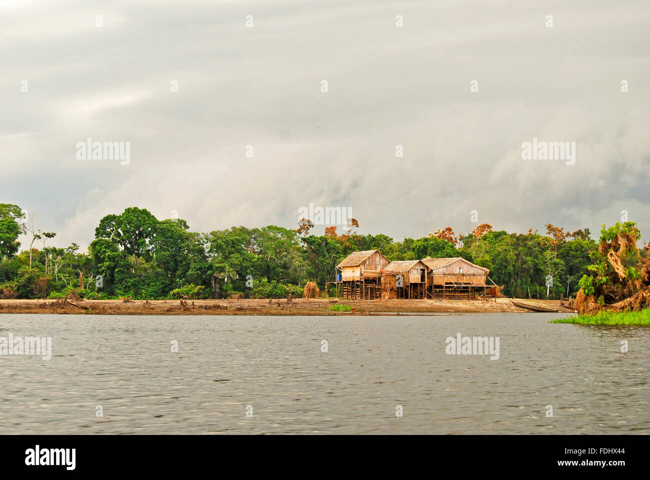Amazon rainforest Expedition by boat along the Amazon River near Manaus, Brazil South America
