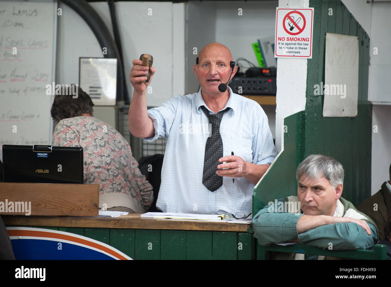 Auctioneer at the Hawes sheep auction in Yorkshire, England, UK. Stock Photo