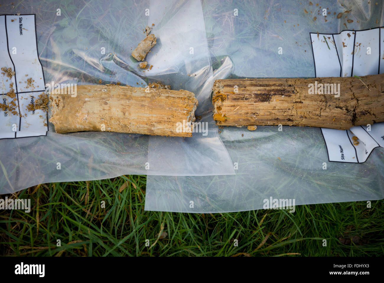 Soil core taken from the ground. Used to determine the soil and rock quality for building purposes. Soil report or survey. Stock Photo