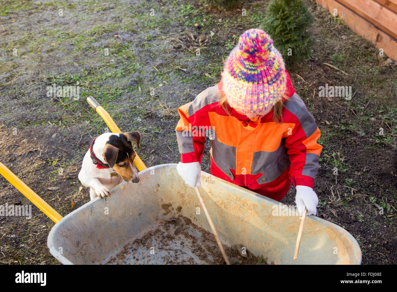 little girl with a dog looking at something in a wheelbarrow Stock Photo
