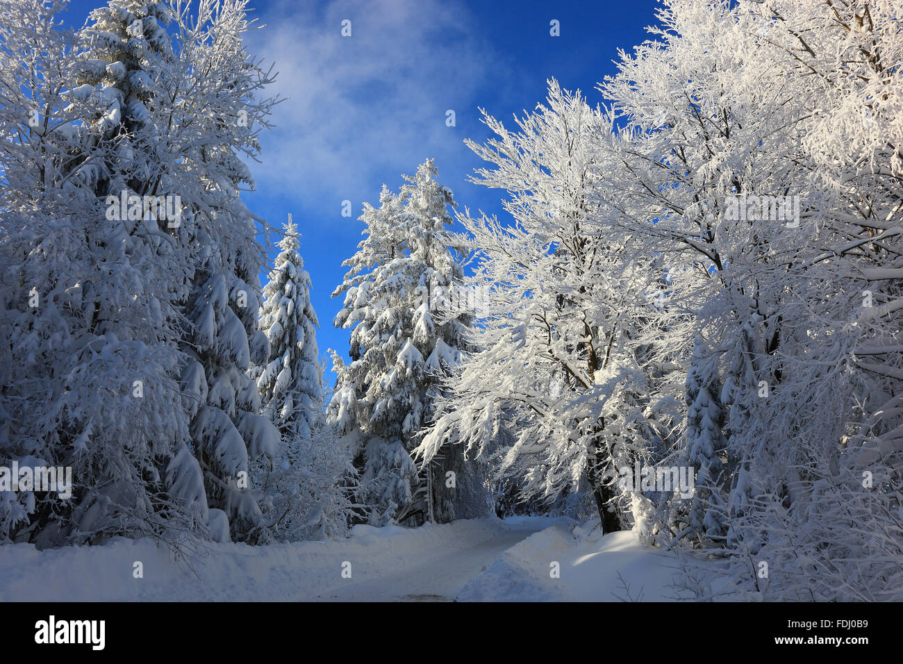 Franken Winter Hi-res Stock Photography And Images - Alamy