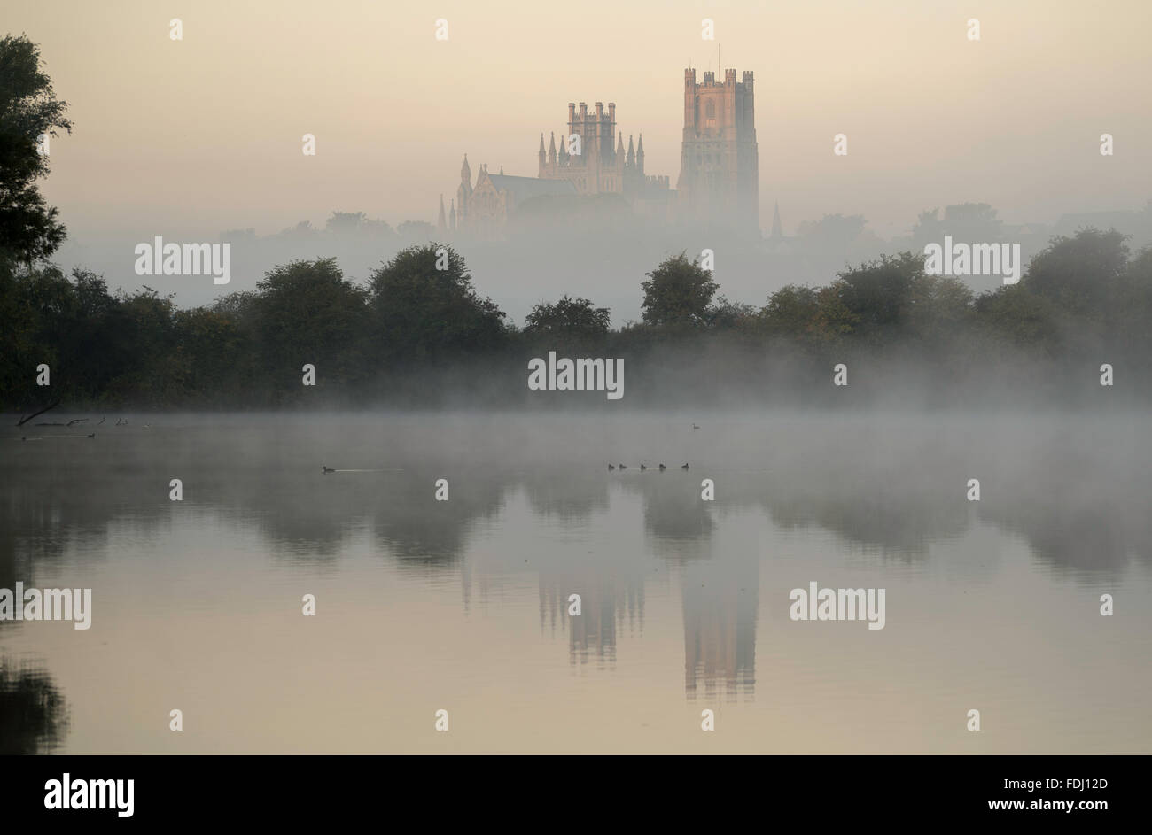 Ely cathedral emerges from an autumnal dawn mist Stock Photo - Alamy