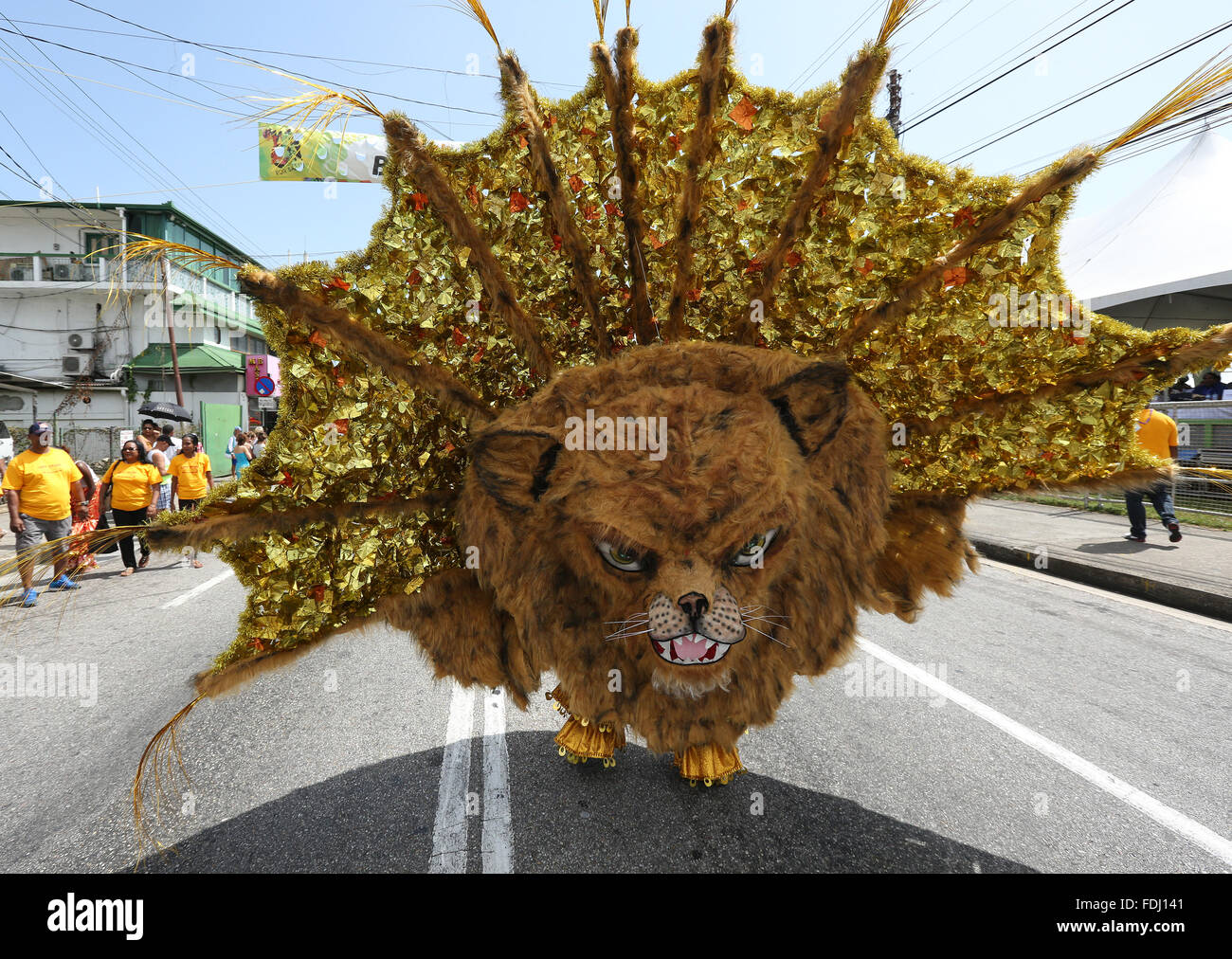 carnival stuff stock photos