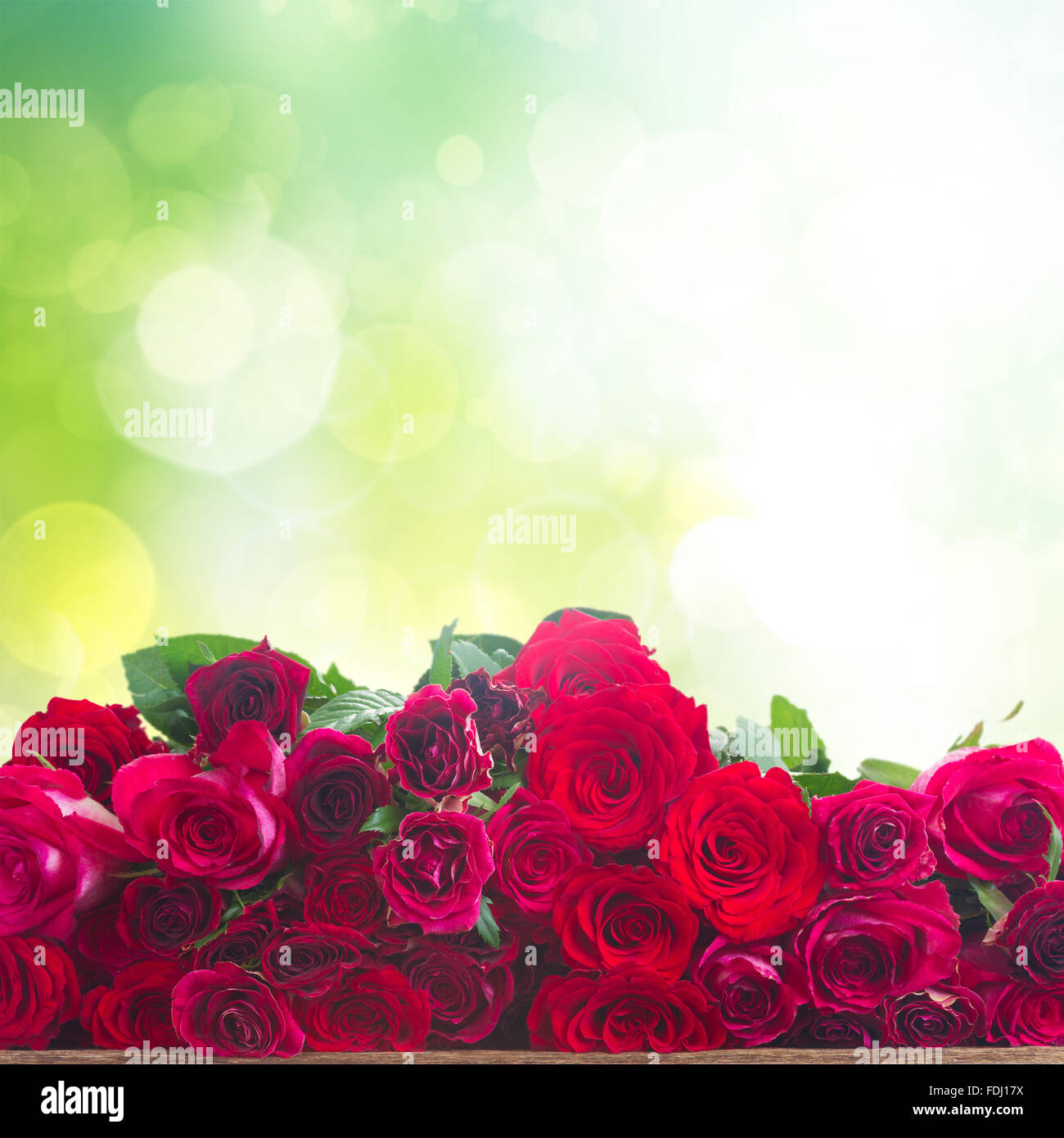 Beautiful boder hi-res stock photography and images - Alamy