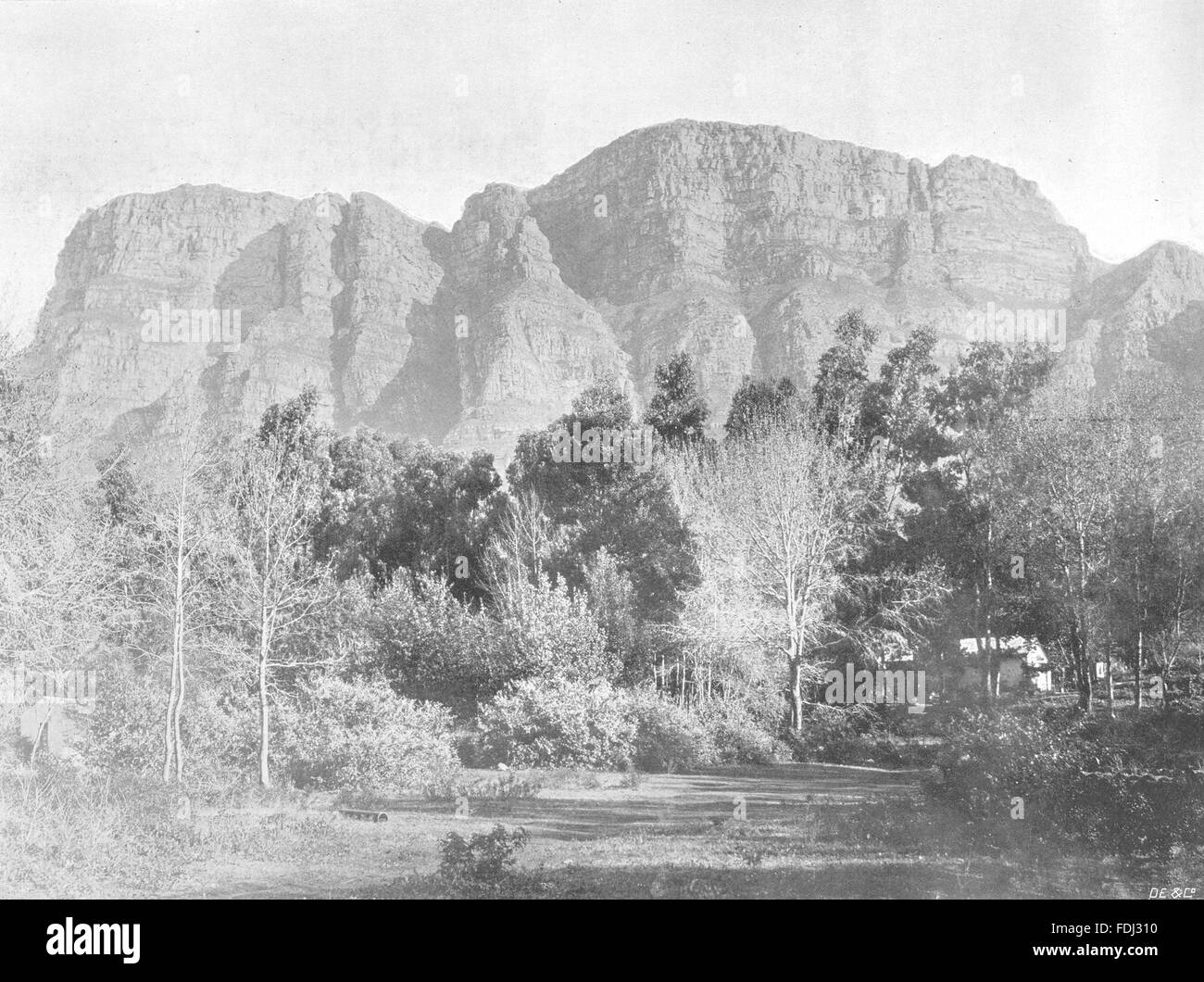 SOUTH AFRICA Table Mountain, from Newlands, antique print 1899 Stock
