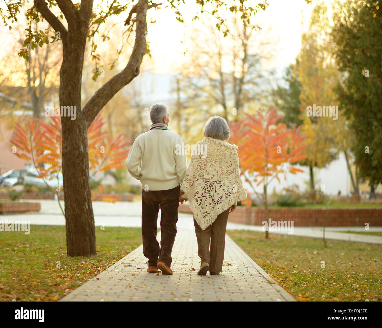 Elderly couple in autumn park Stock Photo - Alamy