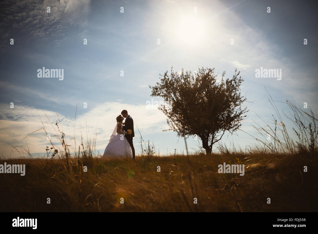 young bride and groom on the background of the field Stock Photo - Alamy